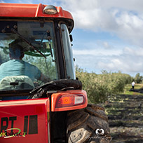 WE ARE FARMERS