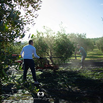 WE ARE FARMERS